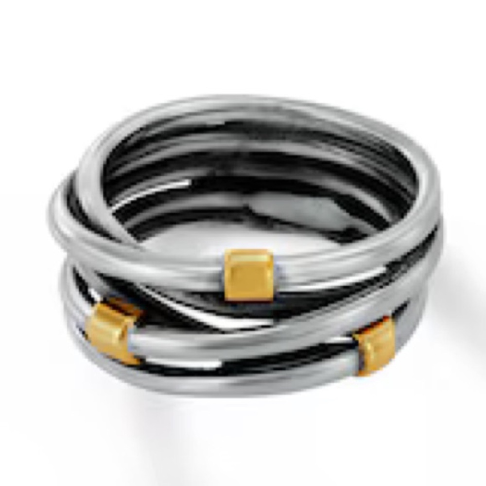 Pandora Intertwined rings